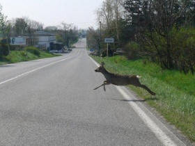 Kliknutím zvětšíte obrázek