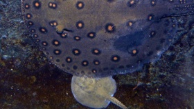 zdroj: Zoo Ústí n. L.