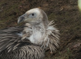 zdroj: Zoo Ústí n. L.