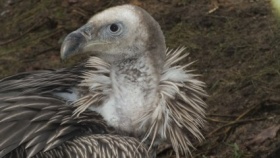 zdroj: Zoo Ústí n. L.