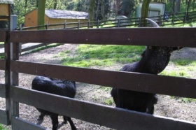 zdroj: Město Bílina