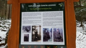 zdroj: Lesy ČR zdroj: Lesy ČR