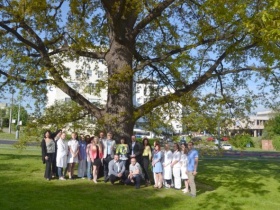 Kliknutím zvětšíte obrázek