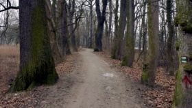 zdroj: Lesy ČR zdroj: Lesy ČR