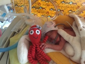 Kliknutím zvětšíte obrázek