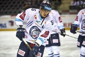 zdroj: hcbilitygri.cz zdroj: hcbilitygri.cz