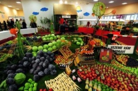 Kliknutím zvětšíte obrázek