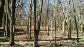 zdroj: Kraj Vysočina zdroj: Kraj Vysočina