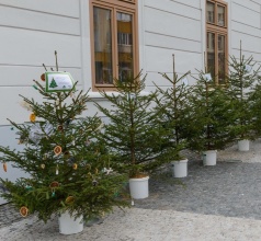 Kliknutím zvětšíte obrázek