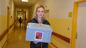 Foto ilustrační archiv