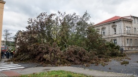 Foto ilustrační archiv