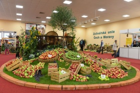 foto archiv Kliknutím zvětšíte obrázek