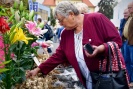 foto archiv Kliknutím zvětšíte obrázek