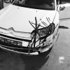 Srážku se srnkou odneslo auto naštěstí jen na levém předním boku Kliknutím zvětšíte obrázek