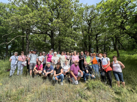 Kliknutím zvětšíte obrázek