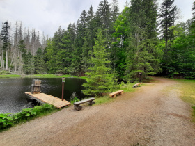Turisté mohou zase nahlédnout do Boubínského pralesa