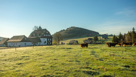 Léto v Jizerkách: výhledy, vodopády a zubačka