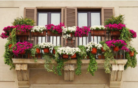 Kliknutím zvětšíte obrázek