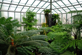 Kliknutím zvětšíte obrázek