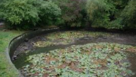 Praha obnoví další rybníky a vybuduje i fontány na Letné