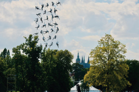 Letní Letná slaví dvacetiny