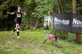 Kliknutím zvětšíte obrázek