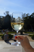 Kliknutím zvětšíte obrázek