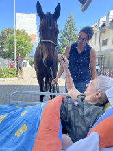 Kliknutím zvětšíte obrázek