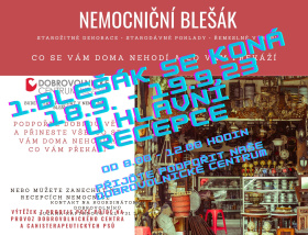 Dobrovolníci pořádají první nemocniční blešák