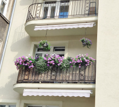 TOP květinové Ústí zná vítěze