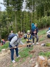 Lidé vysadili během Dne za obnovu lesa 29 tisíc stromků