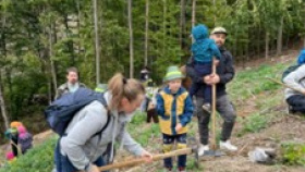 Lidé vysadili během Dne za obnovu lesa 29 tisíc stromků Lidé vysadili během Dne za obnovu lesa 29 tisíc stromků
