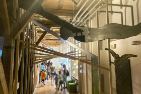 Podzimní interaktivní výstava pro celou rodinu