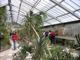 Podzim láká k návštěvě Botanické zahrady v Teplicích