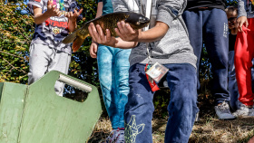 Děti s rybáři vypustily do Bíliny dalších 400 kg ryb