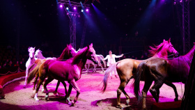 Cirkus Humberto přijel do Prahy . Novou show zboří limity