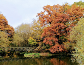 Světový Den stromů