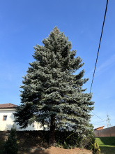 Kliknutím zvětšíte obrázek