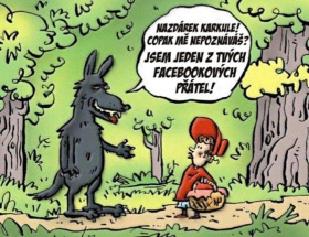 Kraj plošnou regulaci vlků nechystá