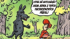 Kraj plošnou regulaci vlků nechystá