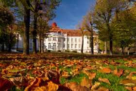 Kliknutím zvětšíte obrázek