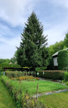 Kliknutím zvětšíte obrázek