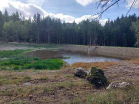 Lesy ČR zrekonstruovaly u Stříbra historickou nádrž