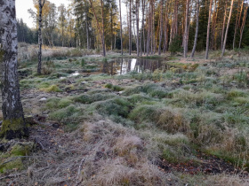 Kliknutím zvětšíte obrázek