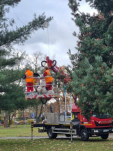 Vánoční strom v Budějovicích čeká zdobení