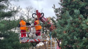 Vánoční strom v Budějovicích čeká zdobení