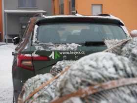 Kliknutím zvětšíte obrázek