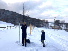 Lužické hory jsou bohatší o 470 kusů nových dřevin
