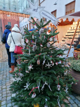 Kliknutím zvětšíte obrázek