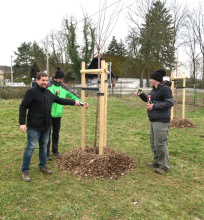 U vodní nádrže v Kamenném Újezdu zakořeňují třešně svaté Lucie